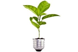 5 formas de plantar ideas en la mente de las personas